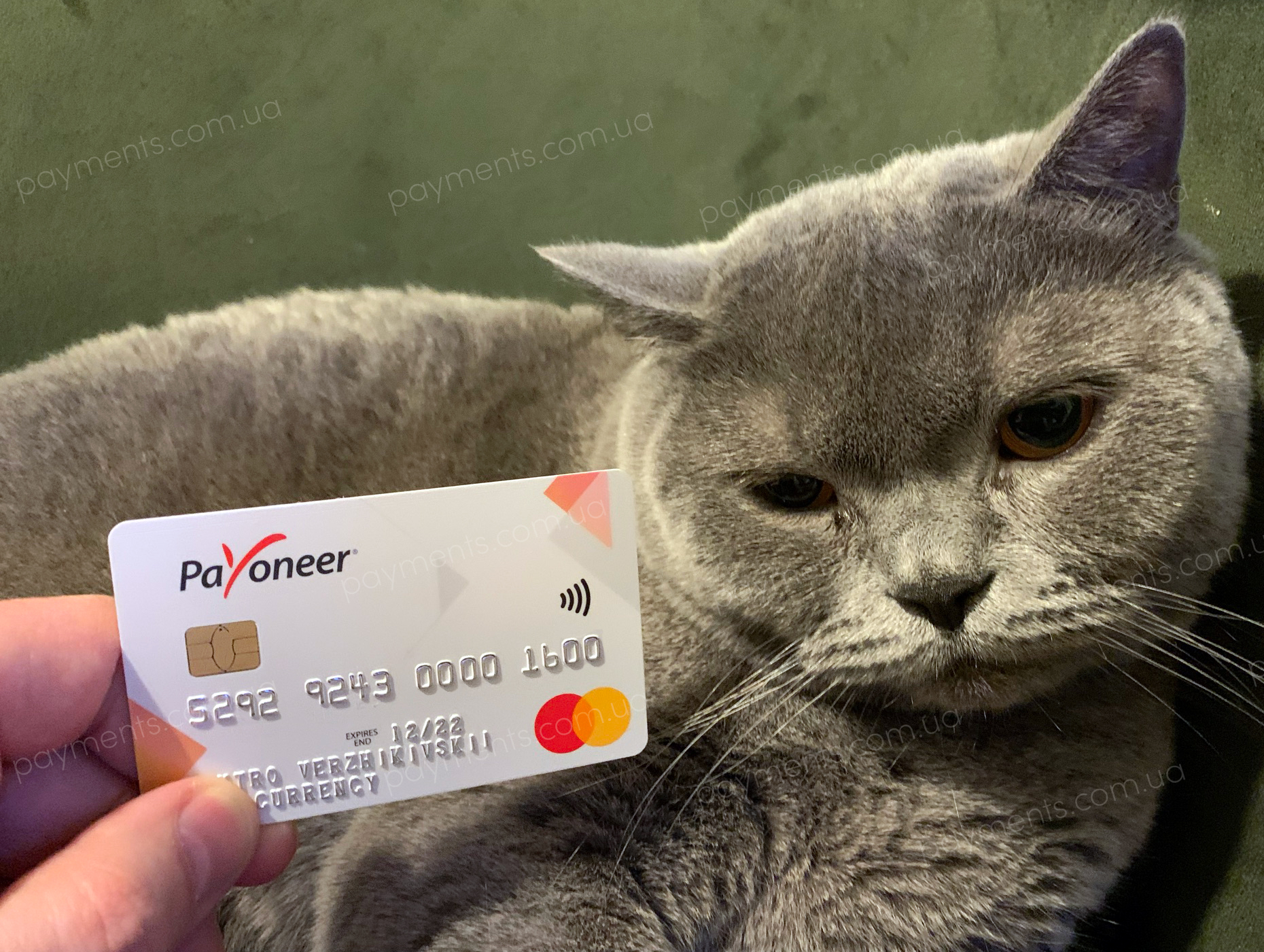 Як вигідно і правильно вивести гроші з Payoneer Україна Карта Payoneer для України, випущена Payoneer Europe Limited з котом